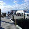 Unloading bikes off the water taxi at Ships Cove