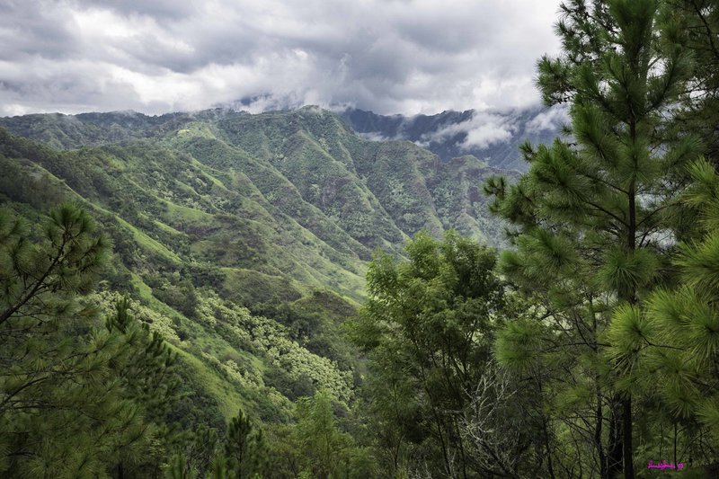 Kuaokala Ridge Trail views.