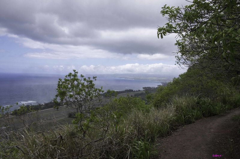 Kealia lookout.