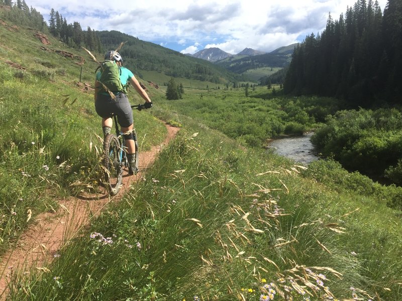 Great views along Upper Cement Creek Trail.