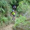 Shredding the track close to the shore, Furneaux Inlet