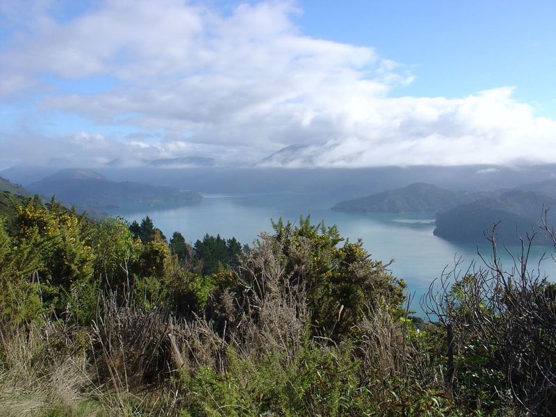 View over Kenepuru Sound