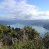 View over Kenepuru Sound