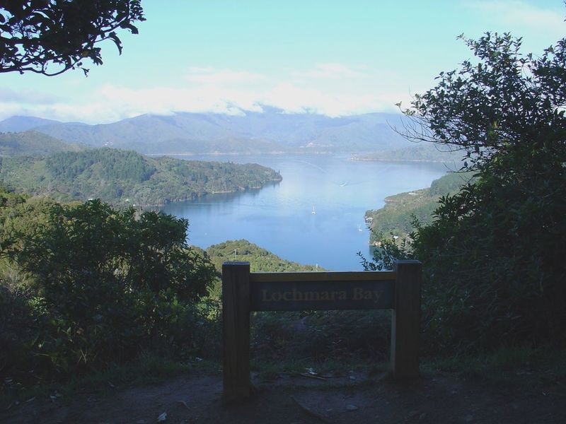 View of Pelorus Sound