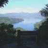 View of Pelorus Sound