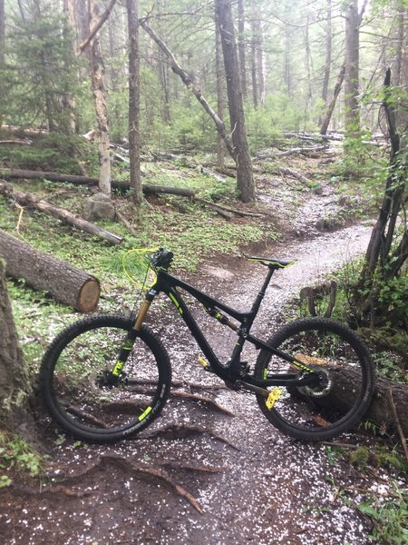 Ran into a bit of hail near the top of Little Scraggy Trail