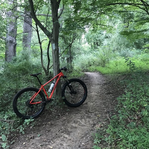 Quick break before heading onto C&O and trailhead on 28. Cool, quiet morning.