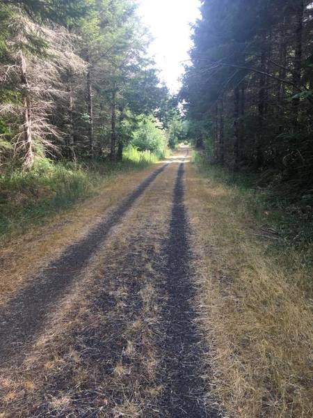 Just the nice, open (gravel) road.