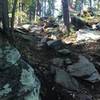 A rocky downhill section near the end of the Vista trail.