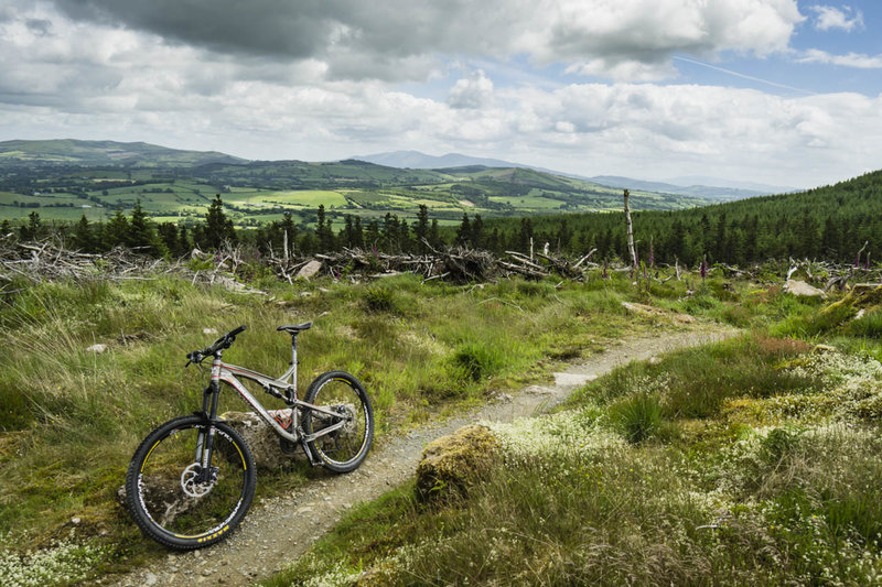 Ballyhoura is an actively managed forest, so you'll traverse both logged and regenerating areas. The logged areas offer spectacular views of the Irish countryside.