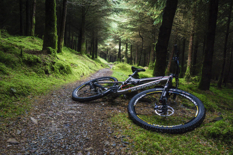 You can't begin to comprehend how lusciously green some of the forested areas are at Ballyhoura.