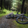 You can't begin to comprehend how lusciously green some of the forested areas are at Ballyhoura.