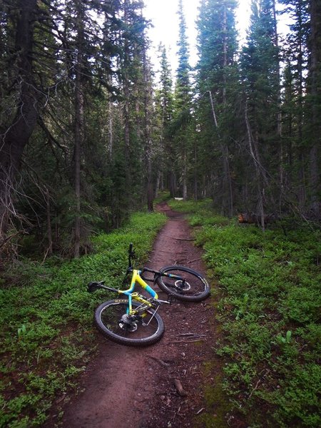 The dirt is one of the attractions for me on this trail—loamy at the top!