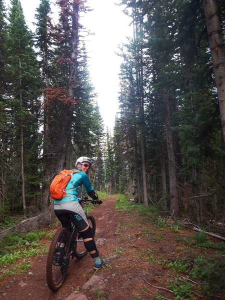 Finally after all that climbing, we get to enjoy the loamy singletrack!