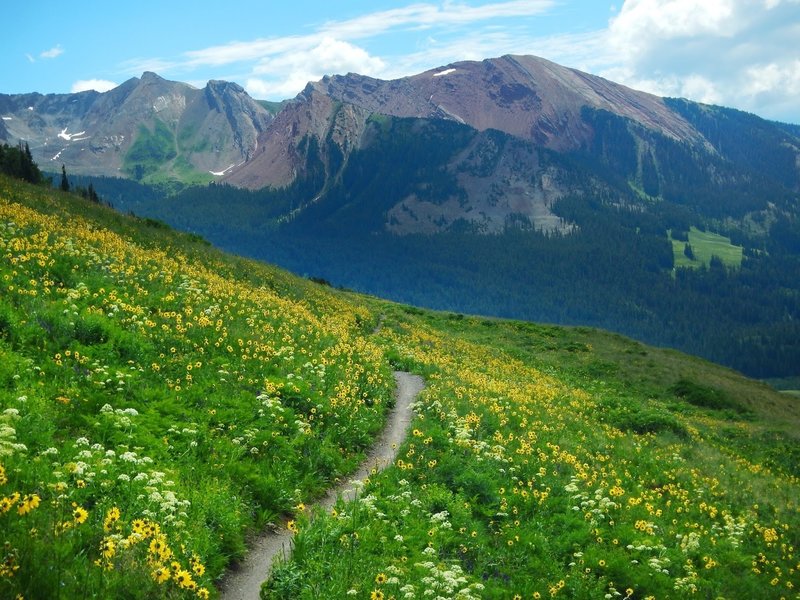 I really doubt singletrack can get any more scenic.