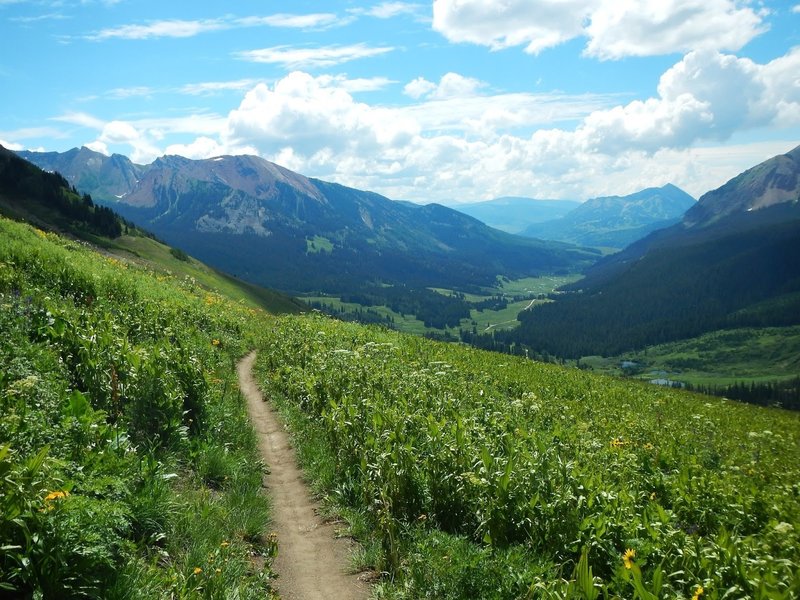 The epitome of high-country singletrack.