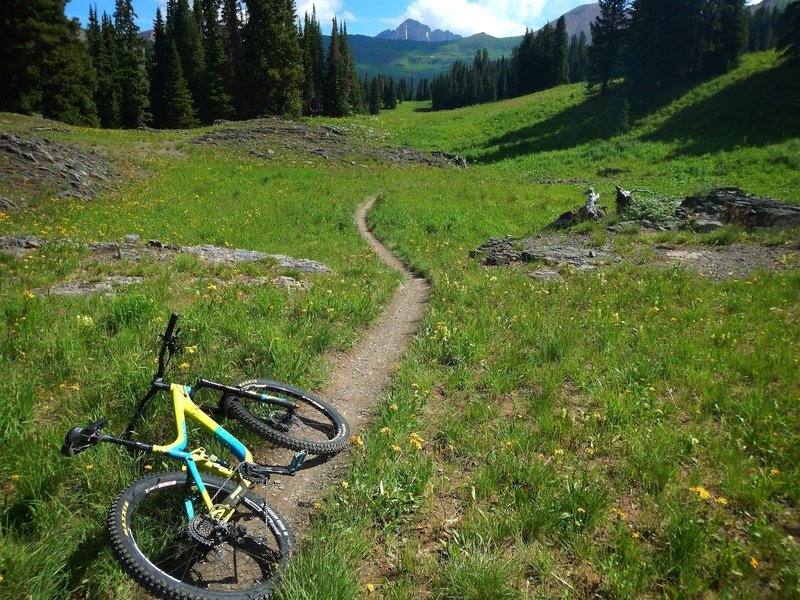 Maroon Bells in the distance.