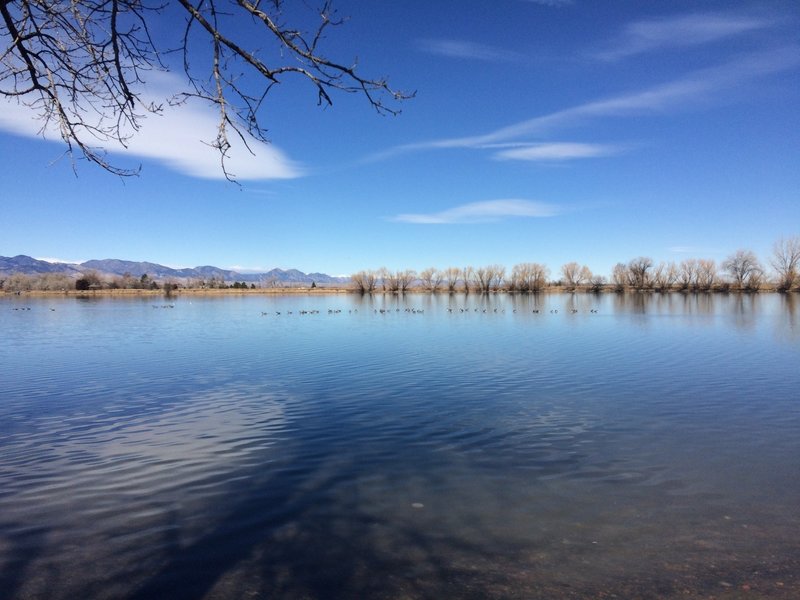 A view to the mountains from the south east corner of the lake.