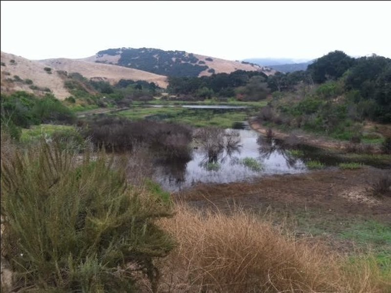 Boy Scout Lake... Fort Ord vernal pond at Station One Road and Oil Well Road
