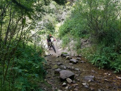 One of several creek crossings along the Three Forks Trail