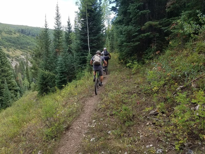 Typical tread along the Mansfield Ditch Trail