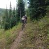 Typical tread along the Mansfield Ditch Trail