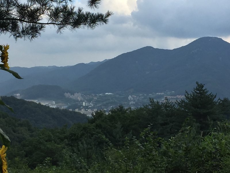 View of Camp Casey from start of singletrack