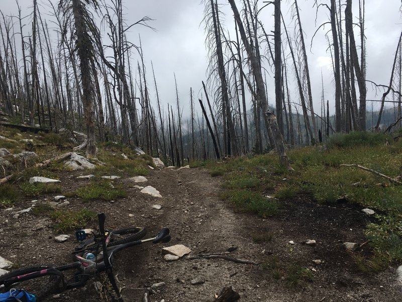 Top of the first climb, looking back west.