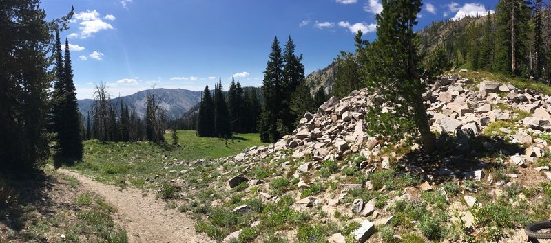 Panorama from top of Decker Creek Summit looking south-ish