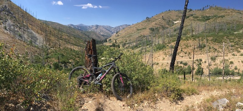 Bottom of Decker Creek, just prior to meeting road 207c