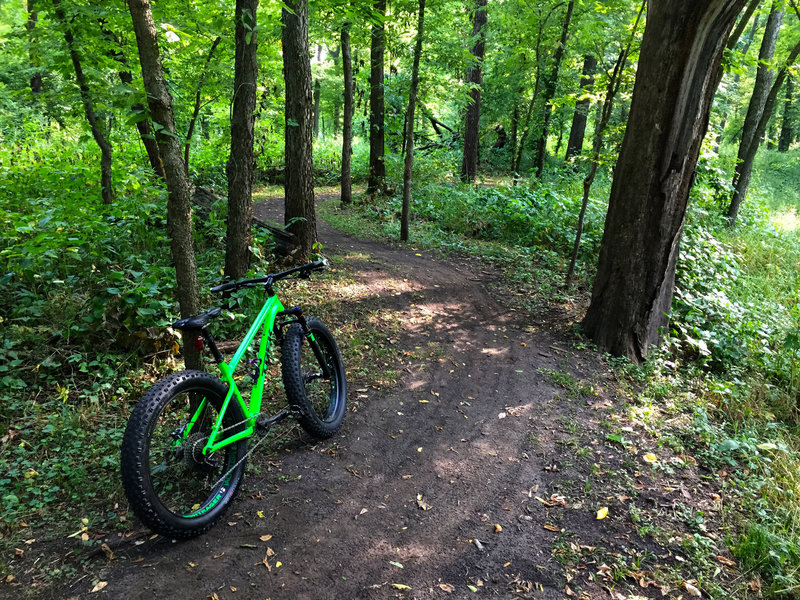 Winding trails on the multipurpose Lunchtime