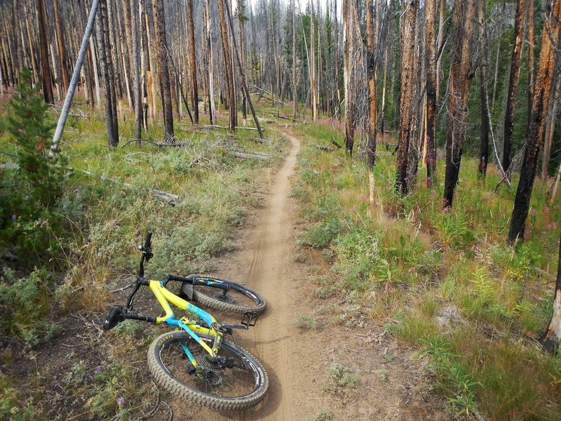 I really am starting to think that Idaho has the most buff trails.