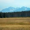 Another scenic classic trail in the Stanley area.