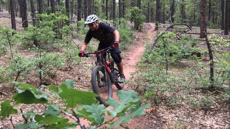 Narrow singletrack for miles.