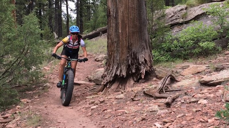 Awesome smooth singletrack