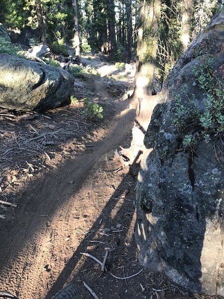 Starting the flowy singletrack