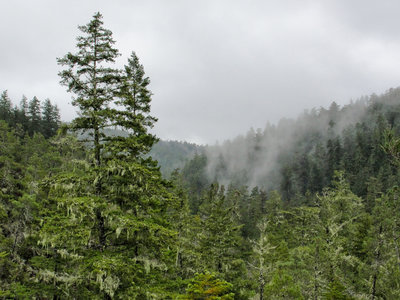 Fog drifts through the mountains on a rainy day.