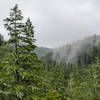 Fog drifts through the mountains on a rainy day.