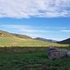 Looking North from the trail. Grass returning to valley after the Spring Glade Fire