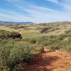 Looking southwest from trail towards Indian Summer and Devil's Backbone.