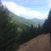 Looking down Bear Creek Trail at junction with connector to Buckhorn