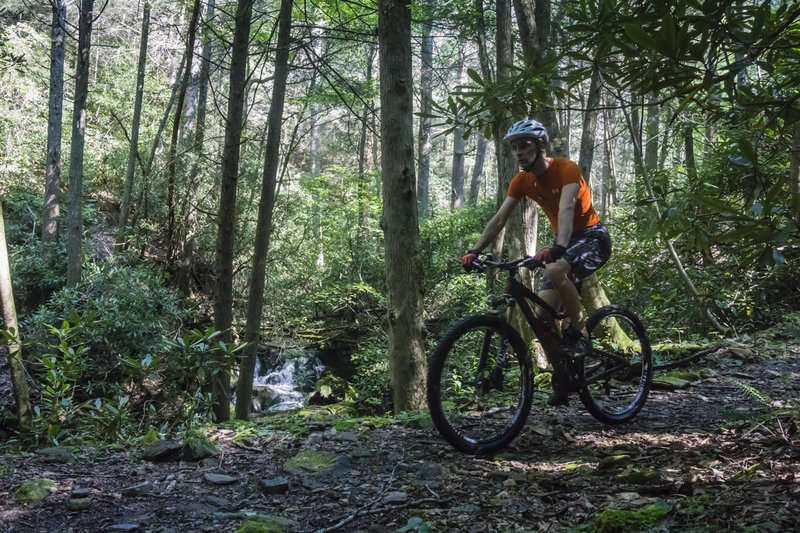 Mountaintown Creek Trail features a number of small waterfalls and cascades just a few feet from the trail