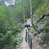 Narrow climbing singletrack