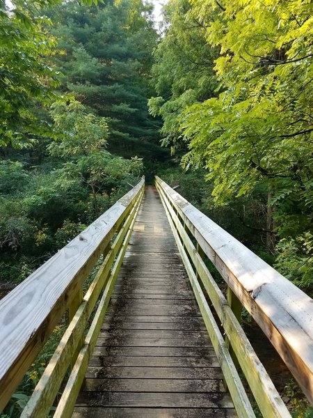 Bridge to the trail