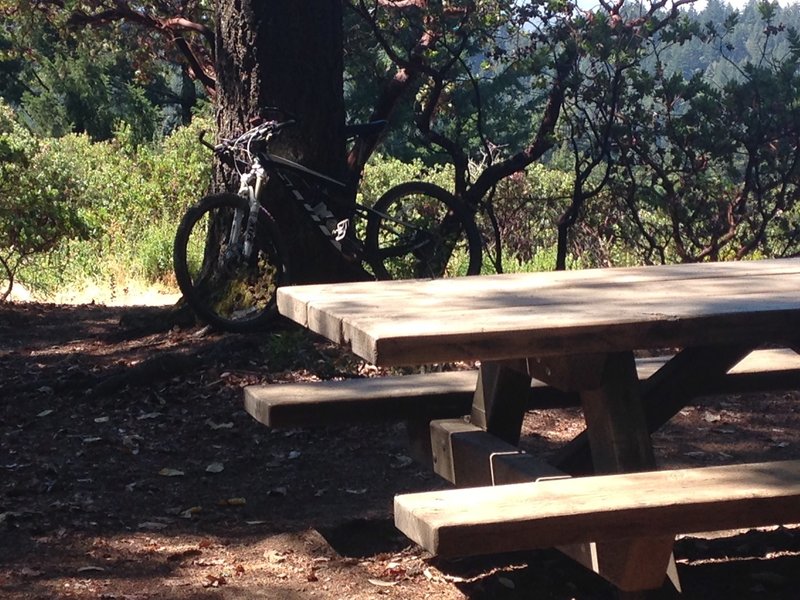 Fir Vista Point is a great place for a break with shade and ocean views.