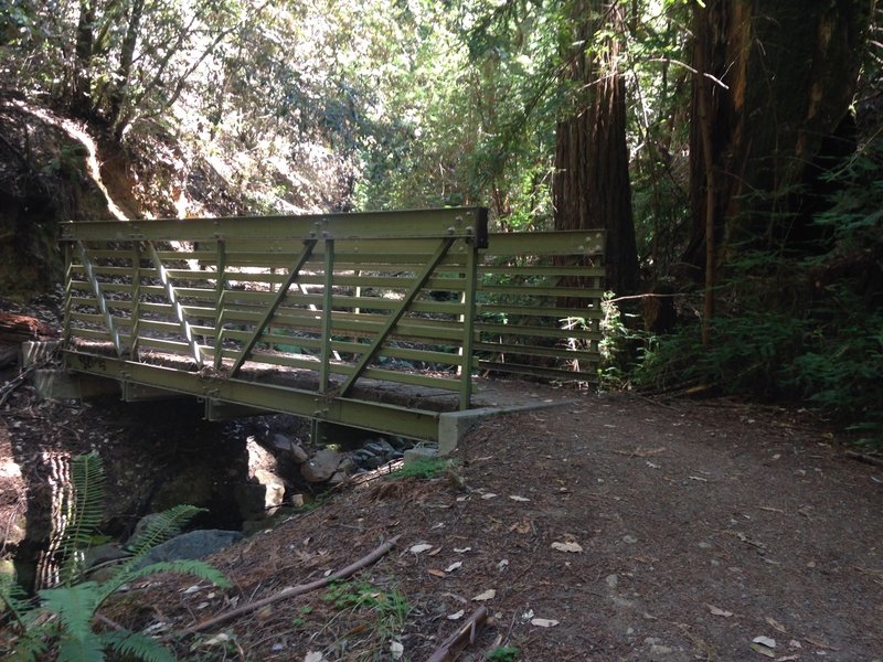 One of several solid bridges going over the El Corte de Madera creek. The singletrack here is named for the creek.