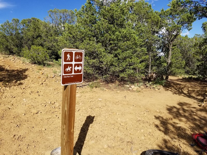 There are a few signed junctions, but many are unmarked. Doe Run Trail was a fun ride down hill from here.