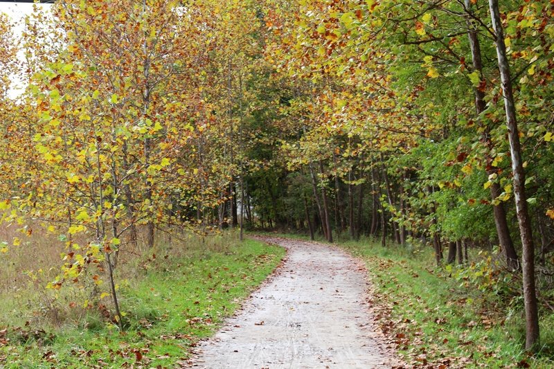 The Towpath in the fall.