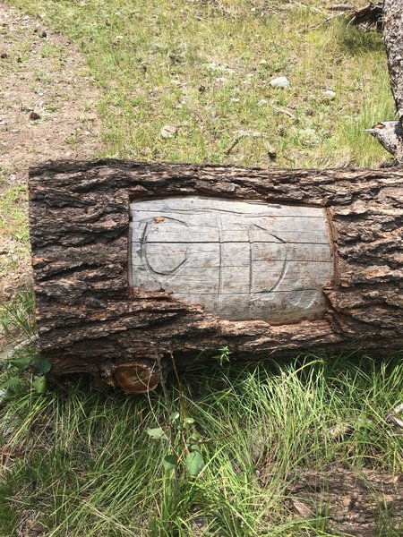 CDT Log Marker