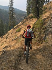 Snoose Creek Trail 407